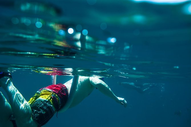 Los Cabos Snorkeling Tour to Chileno Bay and Santa Maria Cove - Included Gear