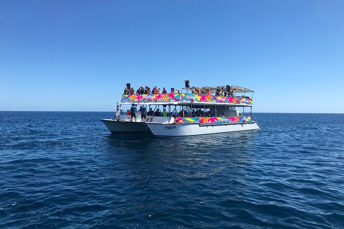 Los Cabos Whale Watching Cruise Including Breakfast - Age and Accessibility