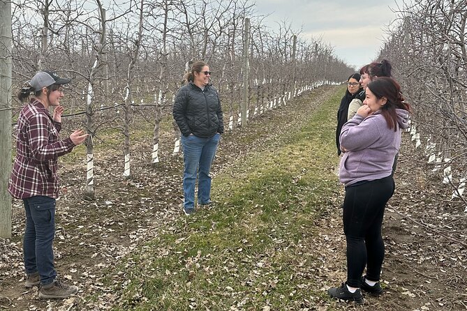 Lunch and Tour of an Apple Orchard With a Farmer in Elyria - Exploring the Grobe Fruit Farm