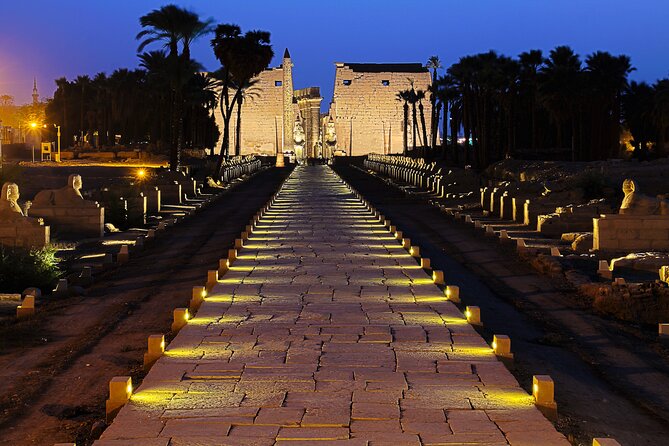 Luxor and Karnak Temples - Half Day Tour With Egyptologest Guide - Accessibility and Pickups