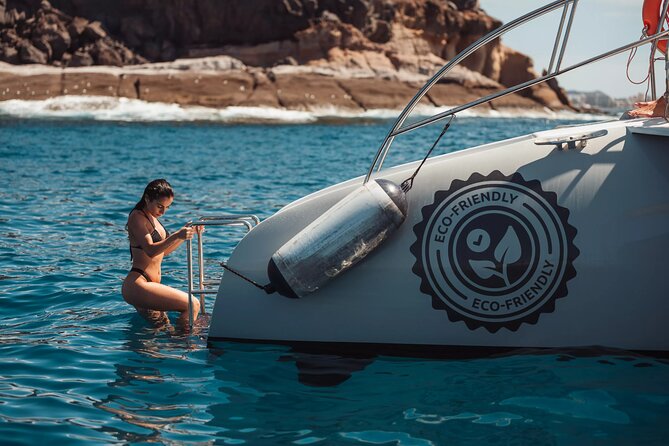 Luxury Catamaran Excursion From Las Galletas - Tenerife - Pickup and Drop-off Information