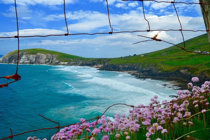Luxury Photography Day Tour on Dingle Peninsula - Fully Guided and Chauffeured - Transportation and Accessibility