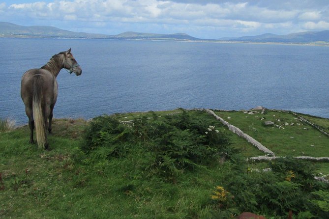 Luxury Photography Day Tour on Ring of Kerry and Skellig Ring - Fully Guided and Chauffeured - Customizable Itinerary and Interests