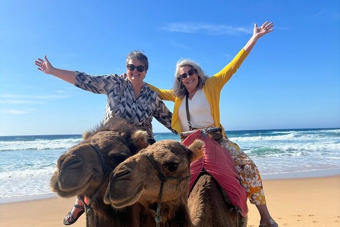 Luxury Private Tour of Tangier From Malaga All Inclusive - Camel Rides and Beach Exploration