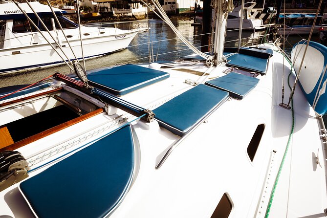 Luxury Sailing Experience in Los Cabos Papillon 2 - Customer Experiences and Reviews