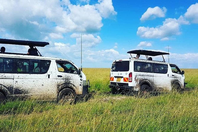 Maasai Mara Safari!! - Wildlife Viewing Opportunities