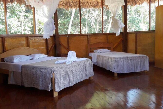 Macaw Collpa & Sandoval Lake 4 Days / 3 Nights - Health and Accessibility