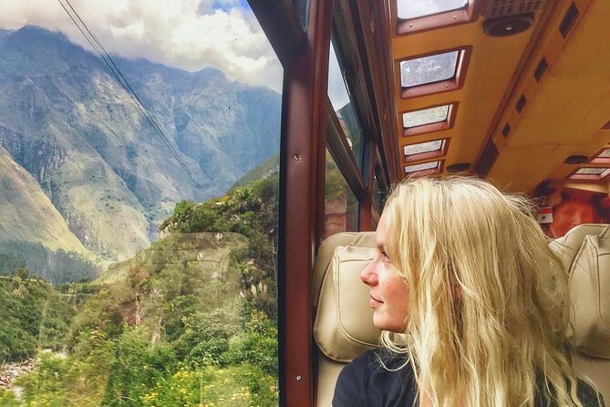 Machu Picchu Day Trip on THE VOYAGER Train - Accessibility and Suitability