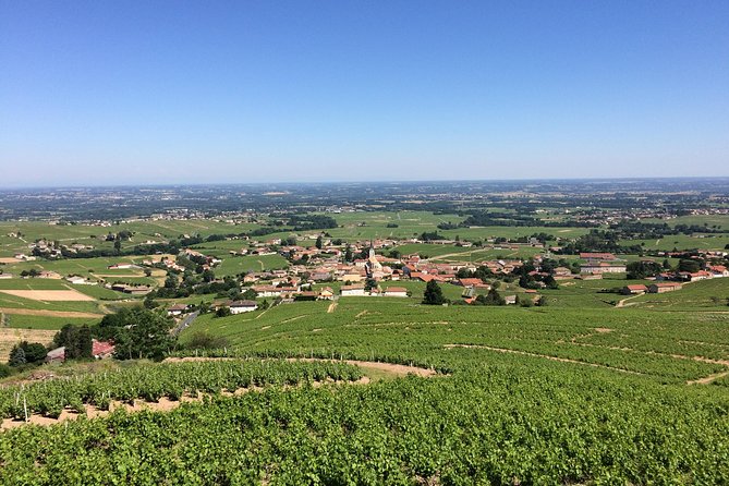 Macon & Beaujolais Wine Tour (9:00 Am to 5:15 Pm) - Small Group Tour From Lyon - Meeting Point