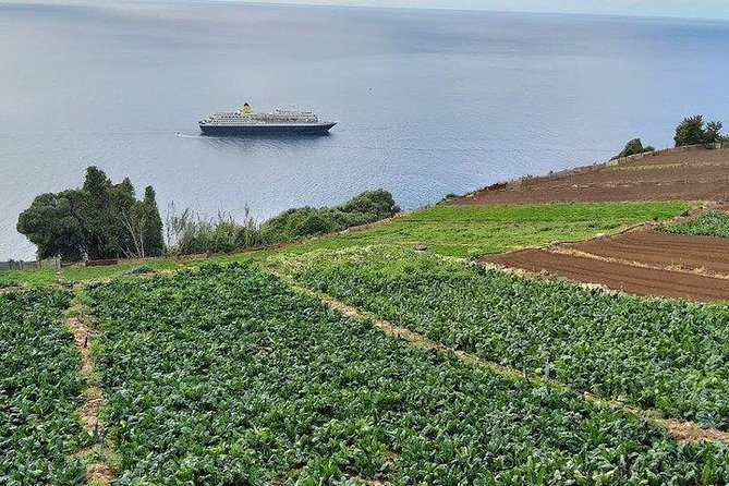 Madeira Farm Tour With Countryside Lunch  - Funchal - Details on the Provided Lunch