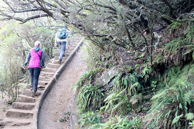 Madeira Lakes - Levada Do Alecrim - Duration and Difficulty Level