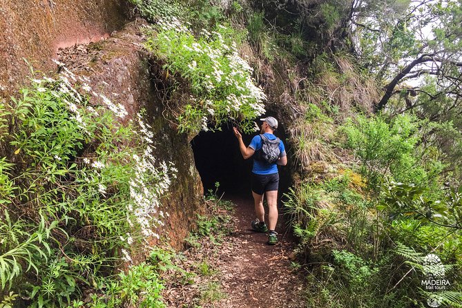 Madeira: Laurisilva Private or Small-Group Running Tour  - Funchal - Participant Requirements