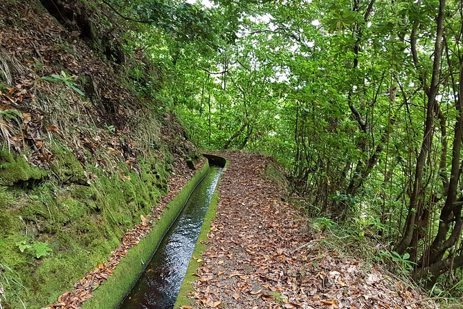 Madeira: Private Guided Levada Dos Tornos Boaventura Hike - Difficulty Level and Terrain