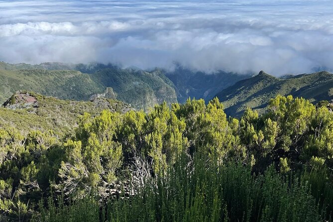Madeira: Sunrise at Pico Do Areiro and Balcões Hike - Scenic Highlights of the Hike