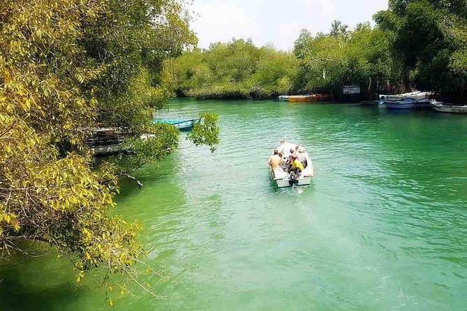 Madu River Safari at Balapitiya - Tour Highlights and Activities