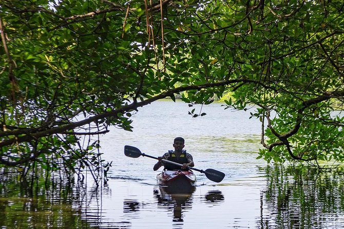 Madu River Sunrise Mangrove Kayaking From Bentota - Meeting and Pickup Details