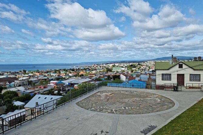Magallanes Reserva and City Tour. Private Shore Excursion. - Accessibility
