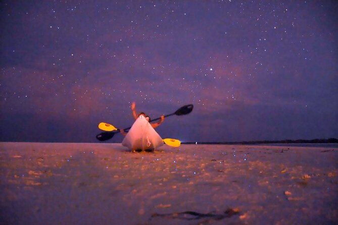 Magic Night of Stargazing and Bioluminescence - Customer Experiences