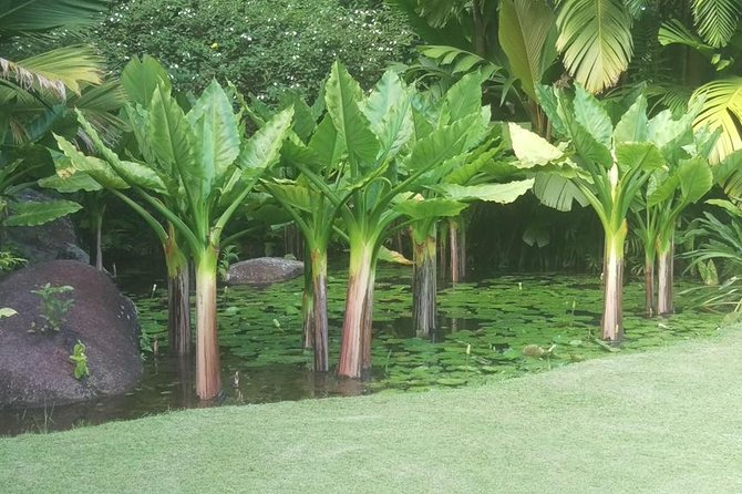 Mahe Private Full Day Tour - Accessibility Options Available