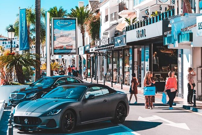 Malaga Private Shore Excursion to Marbella and Puerto Banus - Travel Information
