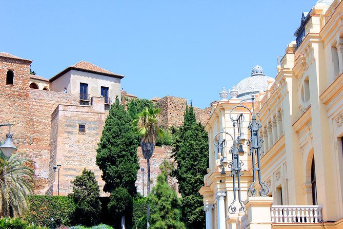 Malaga Privite Tour - Accessibility and Requirements