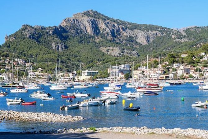 Mallorca Shore Excursion: Exclusive Soller and Valldemosa - Exploring Soller Valley