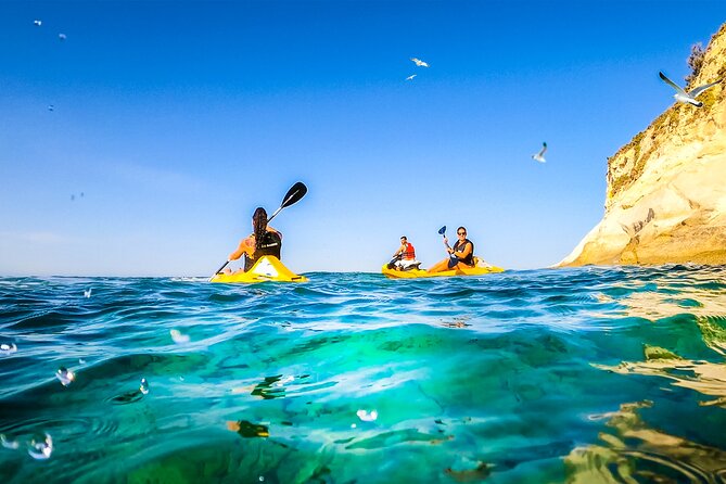 Malta: Ultimate Kayak Adventure Review - Kayak Availability and Reliability