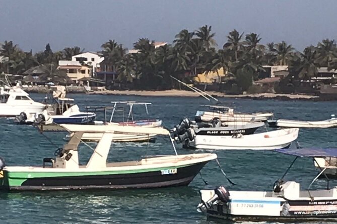 Mamelles Lighthouse and Ngor Island (Walking Tour) - Accessibility and Participation