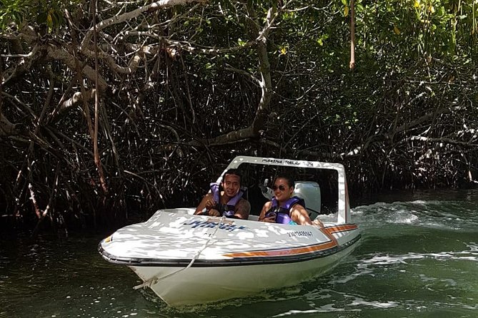Mangrove and Lagoon Speed Boat Tour - Minimum Age and Accessibility