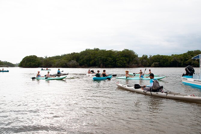 Mangrove Kayaking Tour - Pickup Information
