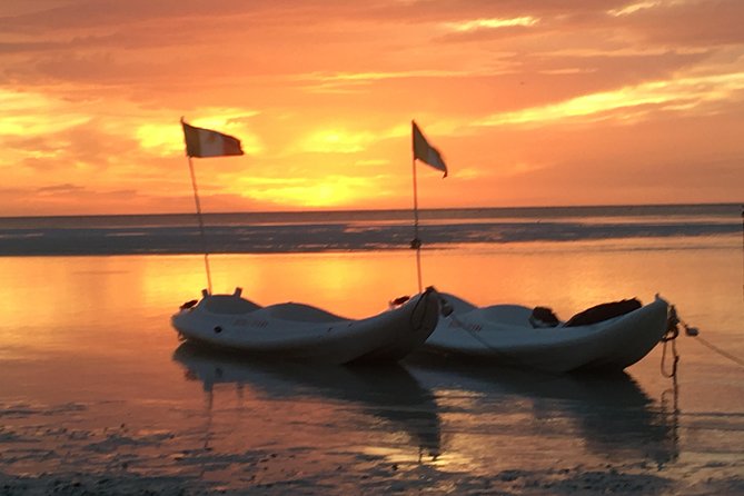 Mangroves Paddling Tour - Inclusions and Restrictions