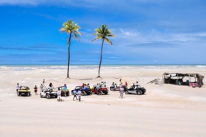 Mangue Seco Day Trip: Boat Ride, Sand Dunes and Swimming - Traveler Guidelines