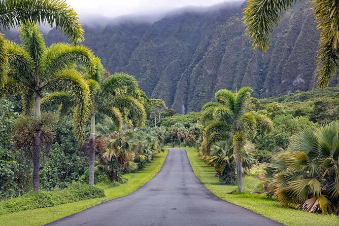 Manoa Falls Waterfall Hike! - Trail Conditions