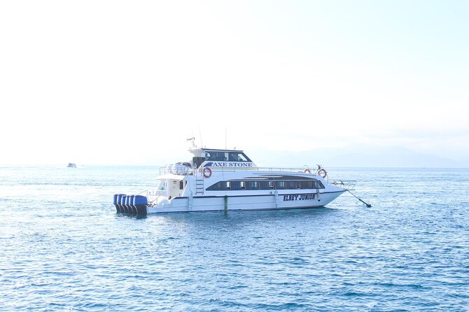 Manta Bay Snorkeling Adventure With Kelingking Beach Nusa Penida All Inclusive - What to Expect