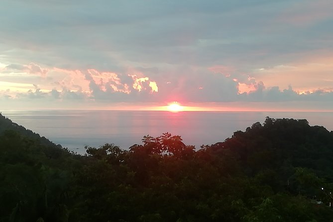 Manuel Antonio & Quepos One Way Transfer to SJO Hotels - Airport up to 5 People. - Accessibility and Conditions