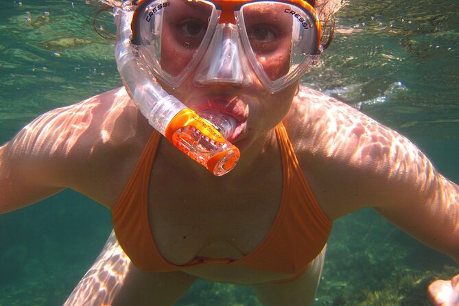 Marathon Key: 3-Hour Snorkeling Adventure on a Pontoon at Sombrero Reef - Participant Requirements