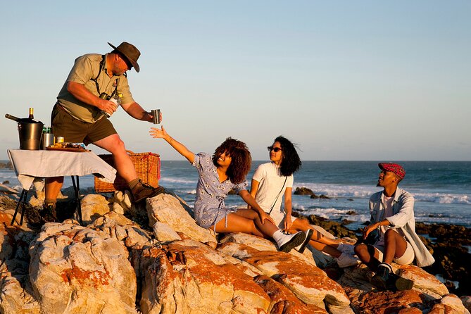 Marine Eco Safari - Whats Included in the Experience