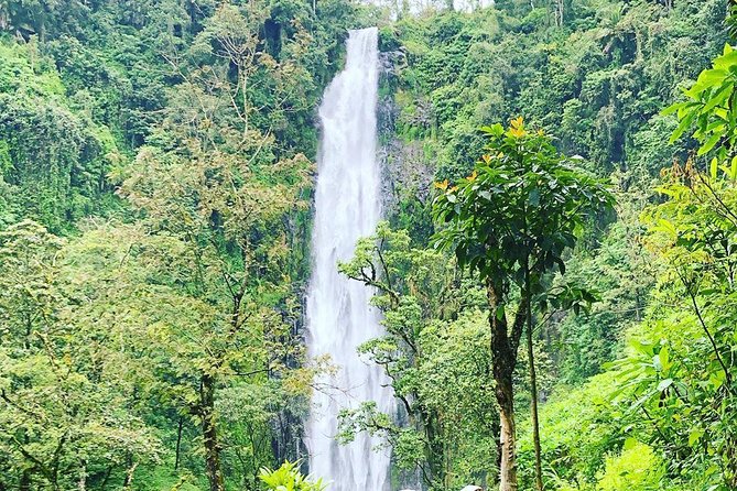Materuni Waterfalls and Coffee Tour - Pickup and Schedule