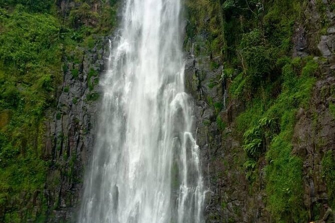 Materuni Waterfalls, Kikuletwa Chemka Hot Springs, Coffee Tour - Relaxing at Kikuletwa Chemka Hot Springs