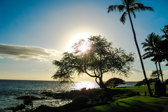 Maui Beach Parks Self-Guided Driving Tour - User Experience Highlights