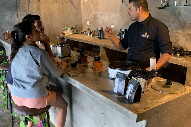 Medellin Horse Ride Coffee Tour and Spa - Discover Specialty Coffee Culture