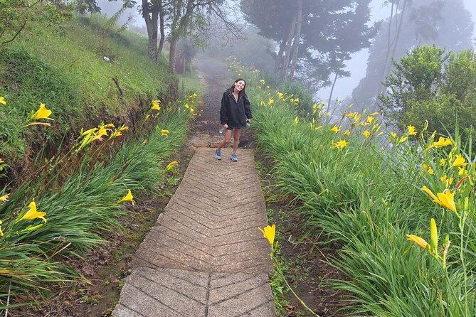 Medellín Private Tour With Waterfall Adventure Zipline & Hiking - Meeting and Pickup Logistics