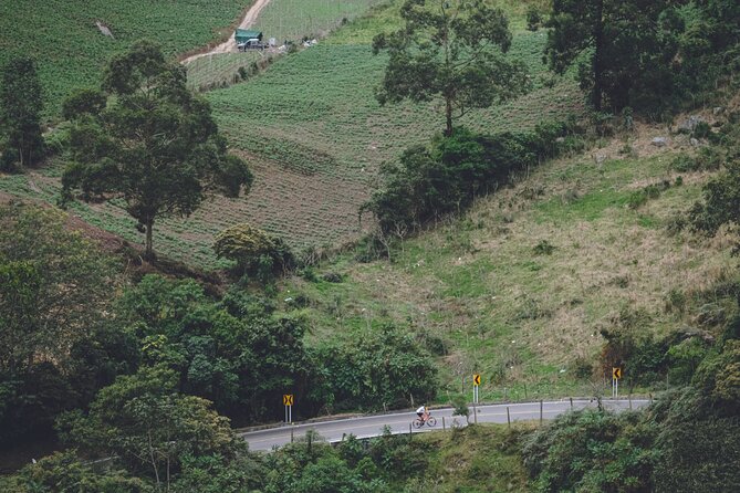 Medellin Road Bike Tour - Operating Hours