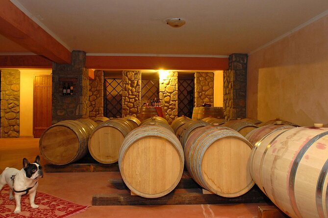 Meteora Private Guided Wine Tasting Experience From Kalampaka - Winery Tour and Transfer
