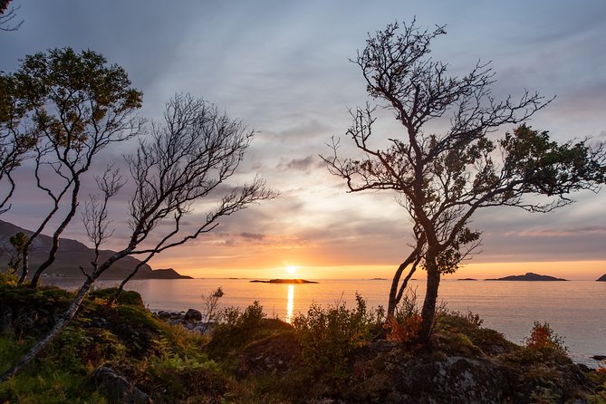 Midnight Sun Campfire Tour From Tromso - Tour Experience