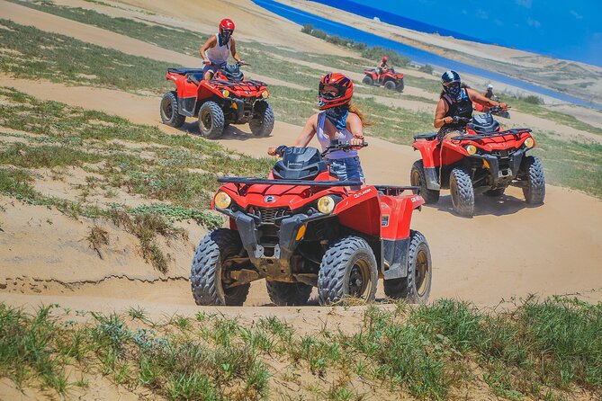 Migrino Beach & Desert ATV Tour in Cabo by Cactus Tours Park - Customer Feedback