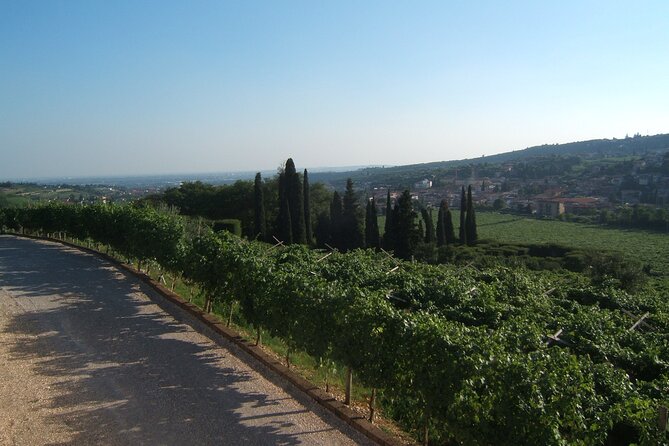 Milan to Venice Tour Review: A Journey Worth Taking - Guided Tour of Verona