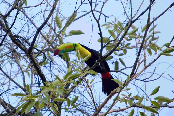 Minca Full Day Tour From Santa Marta - Booking and Confirmation