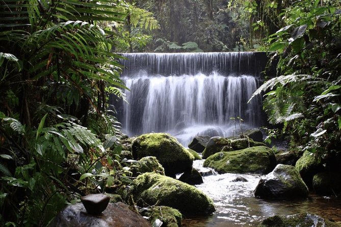 Mindo From Quito - Private Tours - Health and Accessibility
