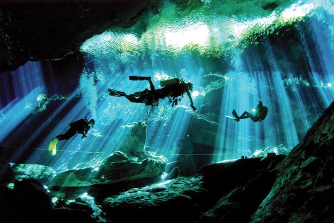 Mini Cenotes Dive Excursion From Playa Del Carmen - What to Expect